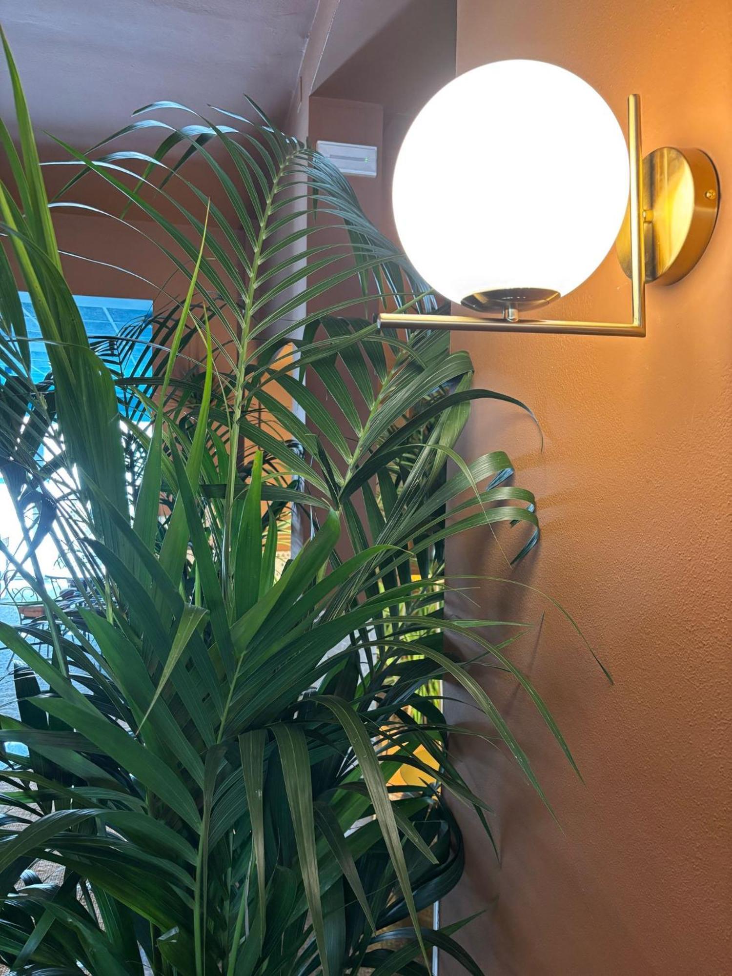 波托菲诺酒店 利多迪迪耶索洛 外观 照片